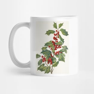 American holly - Botanical Illustration Mug